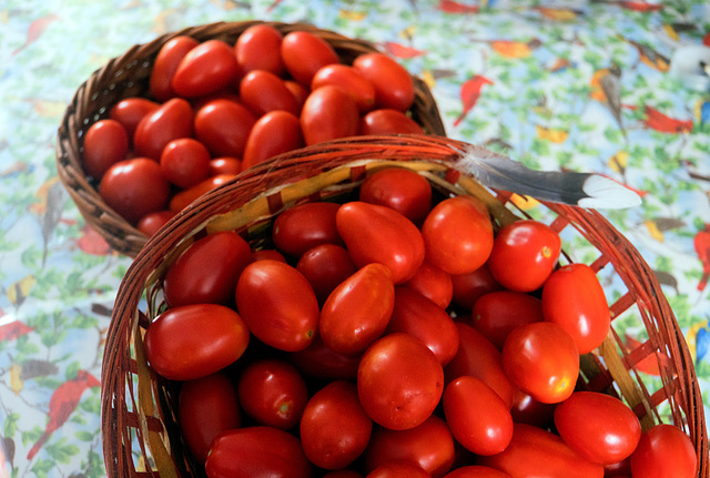 Tomatoes!