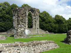 Neath Abbey (12) - 26 August 2015