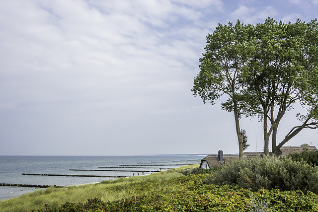 Ostseeküste bei Ahrenshoop