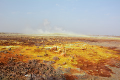 Ethiopia, Danakil Depression, Yellow-brown Surface of the Crater of Dallol Volcano with Sulfur Gas Outlets.