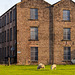 Mill and sheep
