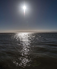 West Kirby marine lake31