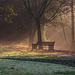 Mist bench in Formal Gardens