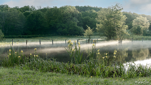 GBAS3320 Brume matinale