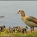 Father -Mother and the Kids
