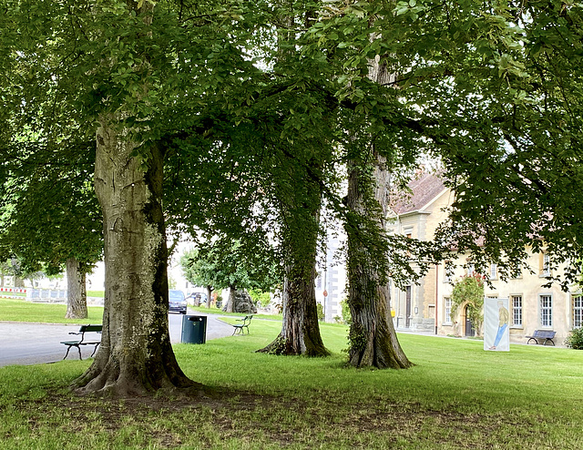 Park in Schloss/Kloster Salem