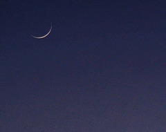 Sliver Moon