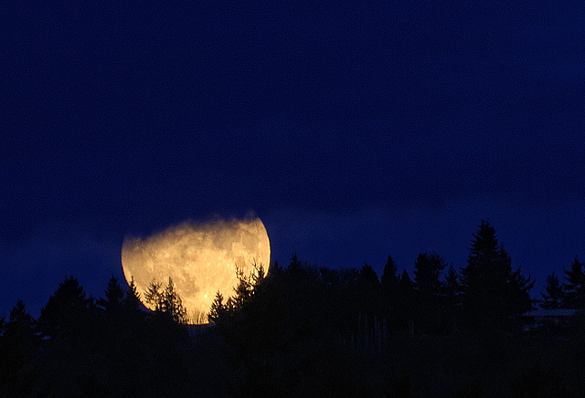 Moon Rise