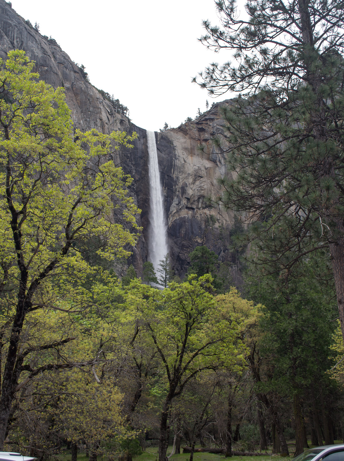 Yosemite Valley Bridalveil Falls  (#0553)