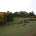 В Софиевском парке / In the Park of Sofievka