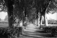 Chemin de l'abbaye de la Guiche