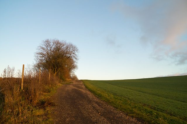 Eifel - Dauner Maare