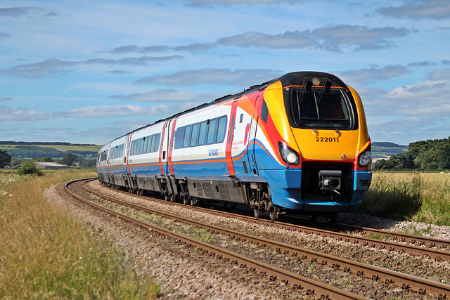 East Midlands Trains class 222 222011 at Willerby Carr Crossing with 1F05 06:36 St.Pancras - Scarborough 8th July 2017