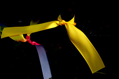 Tie a Yellow Ribbon