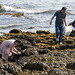 Gathering mussels