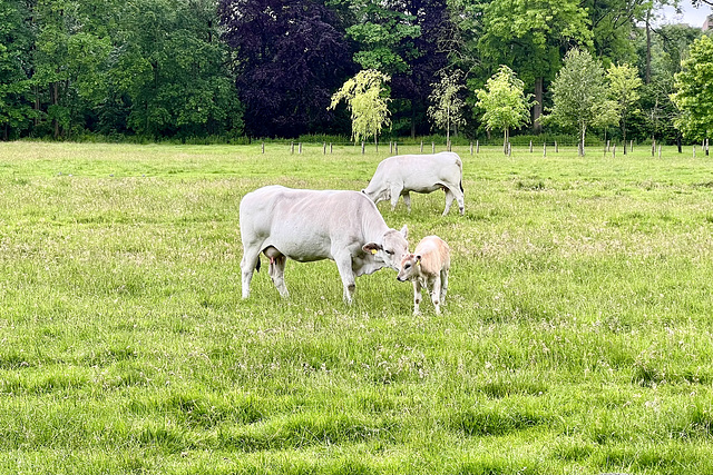 Mother and child