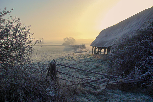 Misty Morning-DSZ038