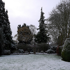 Fulbourn garden 2015-02-03