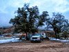 Campsite @ The Cochise Stronghold