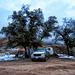 Campsite @ The Cochise Stronghold