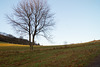 Eifel - Dauner Maare