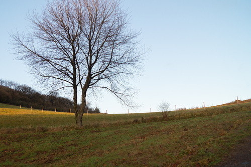 Eifel - Dauner Maare