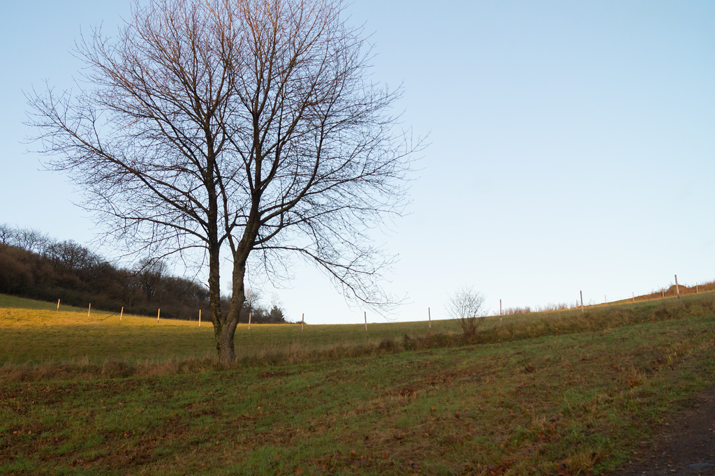 Eifel - Dauner Maare