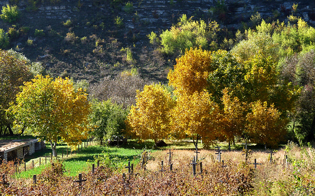 Butuceni- Autumn at the Graveyard