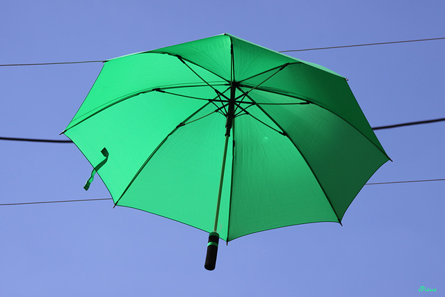 Parapluie ou ombrelle ?
