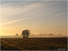 September morning fog ...