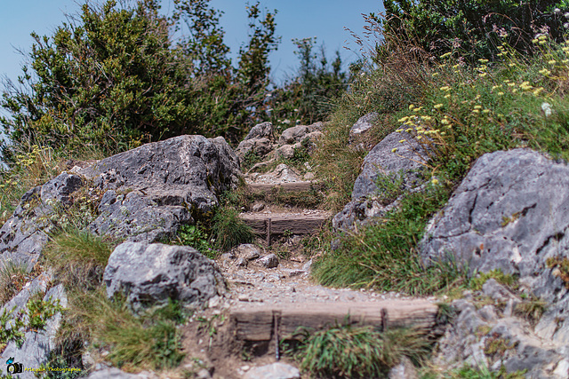 La descente