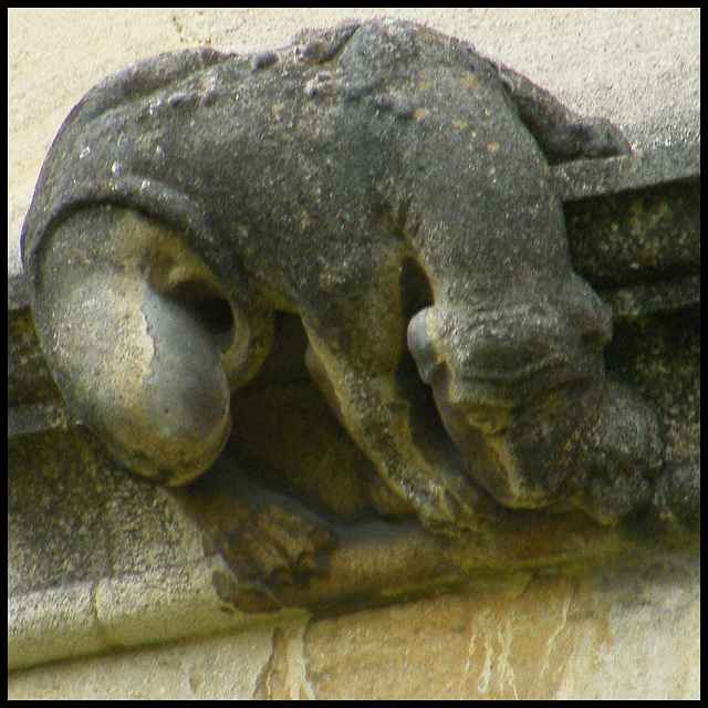 St John's College grotesque