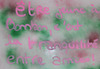 13 ans