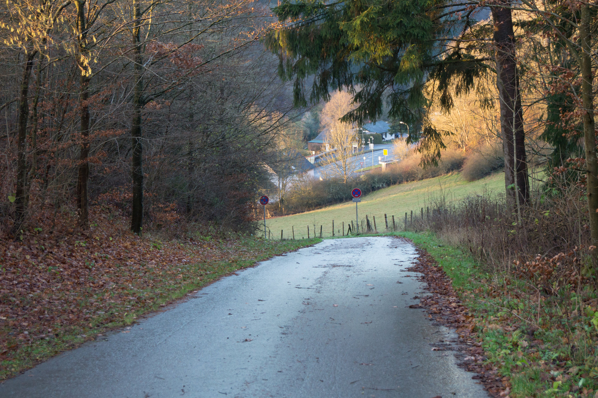 Eifel - Dauner Maare