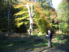 In Seckley Wood, but which way to go?