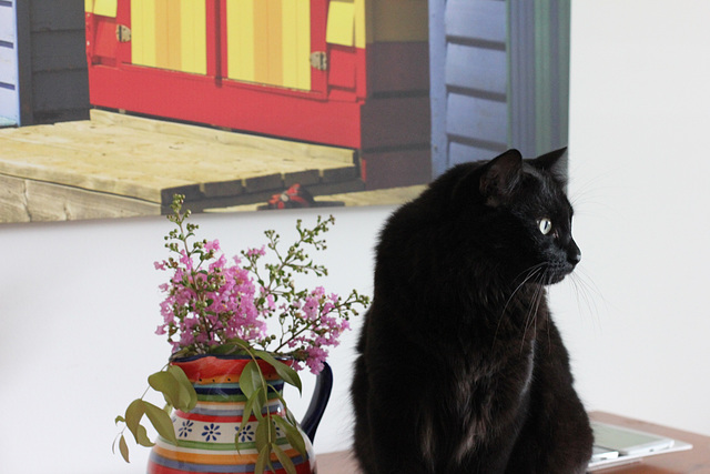 43/366 simple pleasures