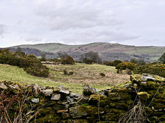 Cumbrian view