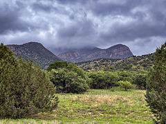 Huachuca Mountains