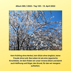 Album 365 / 2022 - Tag 103 - 13. April 2022