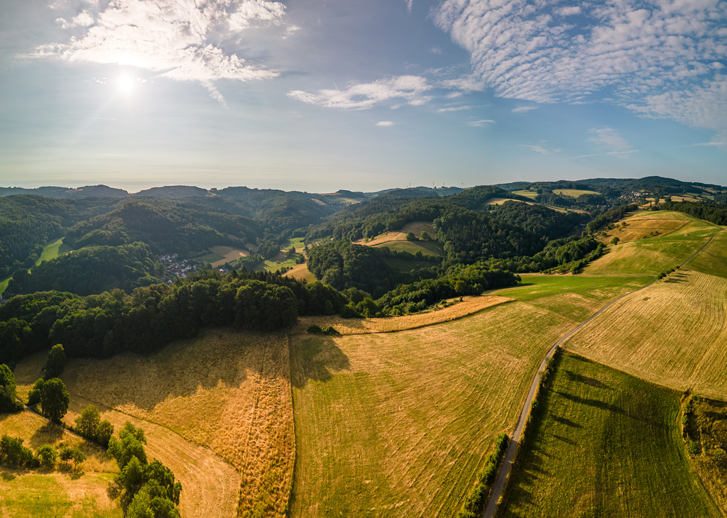 Odenwald - 20230629