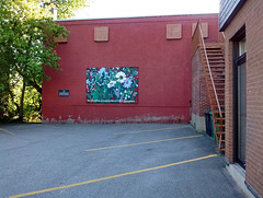 Fleurs murales / Flowery wall