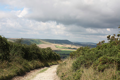 Firle Beacon from Windover Hill