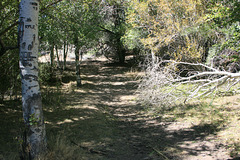 IMG 8644