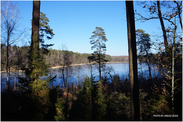 lake in the forest ...