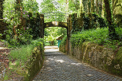 Parque da Pena, Sintra, Portugal