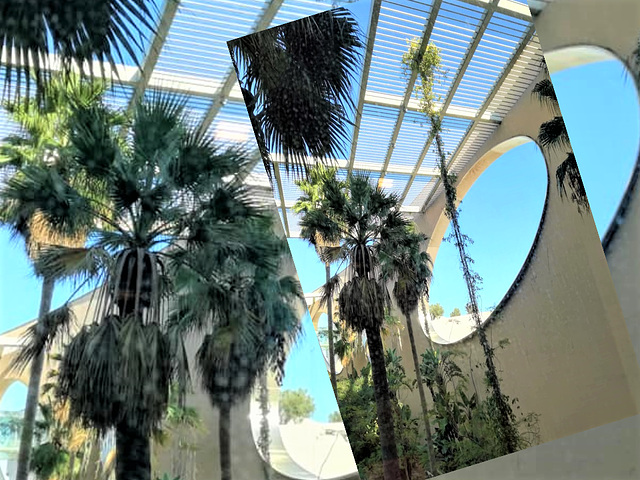 Any Tarzan would love to have a liana to fly around the interior garden