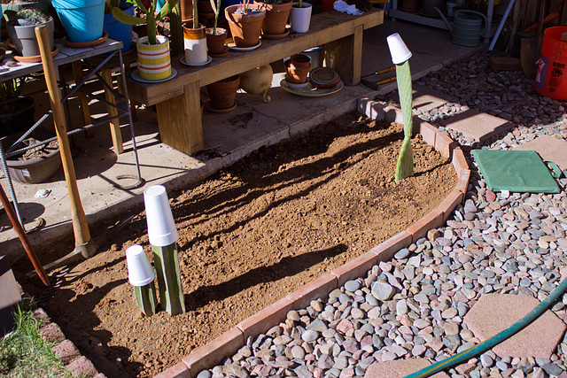 New plant bed in the back yard