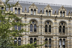 A Wall of Beasts – Natural History Museum, South Kensington, London, England