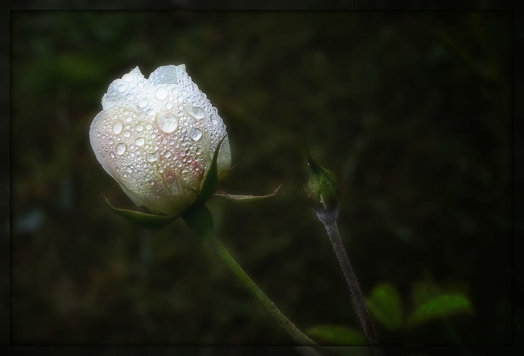 kleine Herbstwelt 17