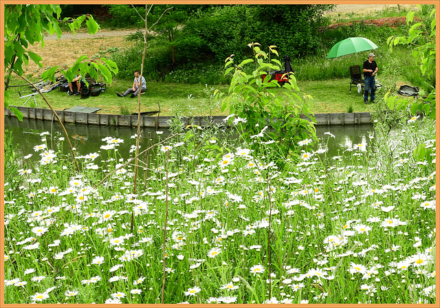 Flower Fishermen